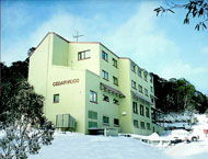 Cedarwood Apartments - Accommodation VIC 0