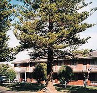 Eastern Beach Holiday Units - Accommodation VIC