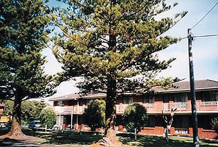 Eastern Beach Holiday Units - Accommodation VIC 0