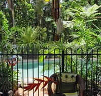 Daintree Rainforest Retreat Motel - Accommodation VIC