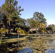 Twin Lakes Hotel - Accommodation VIC