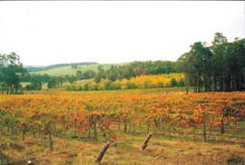  Accommodation VIC