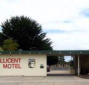 Millicent Motel - Accommodation VIC