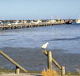 Seaview Motel and Holiday Units - Accommodation VIC