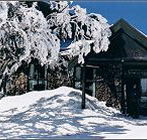 Arlberg Hotel Mt Buller - Accommodation VIC