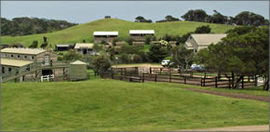 Cape Schanck VIC Accommodation VIC