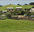 Ace Hi Riding Ranch - Accommodation VIC