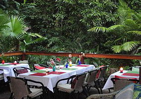Daintree Rainforest Retreat Motel - Accommodation VIC 1