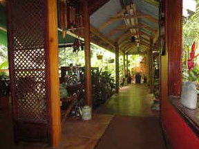 Daintree Rainforest Retreat Motel - Accommodation VIC 2
