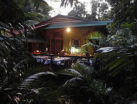 Daintree Rainforest Retreat Motel - Accommodation VIC 4