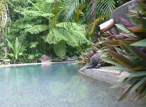 Daintree Rainforest Retreat Motel - Accommodation VIC 5