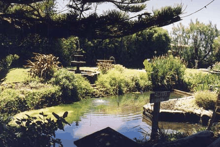 Bayside Gardens - Accommodation VIC 0