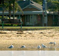 Best Western Coastal Waters Motor Inn - Accommodation VIC