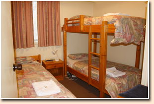 Snow View Holiday Units - Accommodation VIC 2