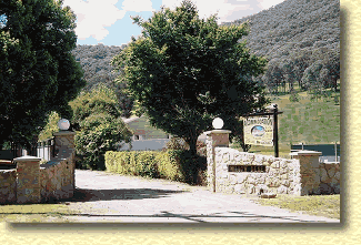 Willow Dene - Accommodation VIC 1
