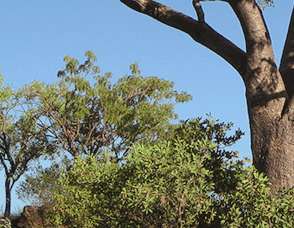 Lakeview Apartments Kununurra - Accommodation VIC 3