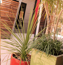 Adelphi Apartments - Accommodation VIC 1