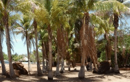 King Sound Resort Hotel - Accommodation VIC