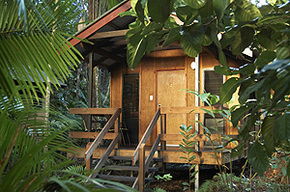 Cape Tribulation QLD Accommodation VIC