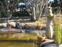 Murray Gardens Motel And Cottages - Accommodation VIC 2