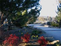 Murray Gardens Motel And Cottages - Accommodation VIC 3