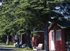 The Pines Resort - Accommodation VIC 3
