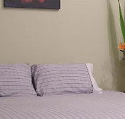 Stingo Hotel - Accommodation VIC