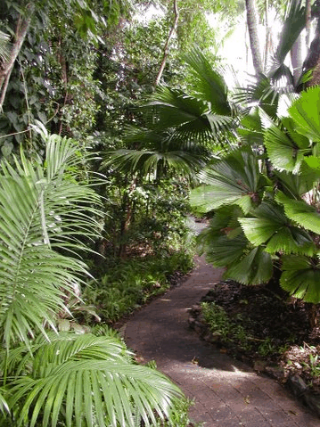 Rainforest Grove Holiday Resort - Accommodation VIC 1