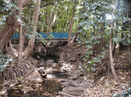 Rainforest Grove Holiday Resort - Accommodation VIC 3