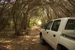 Nampara Cabins - Accommodation VIC 1