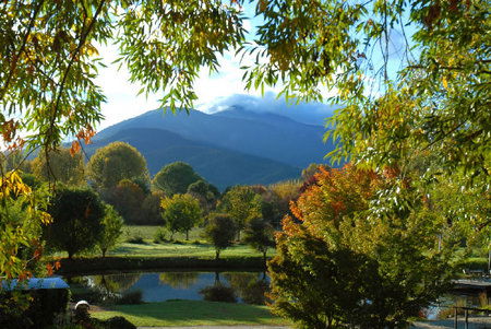 Dreamers Spa Resort - Accommodation VIC 4