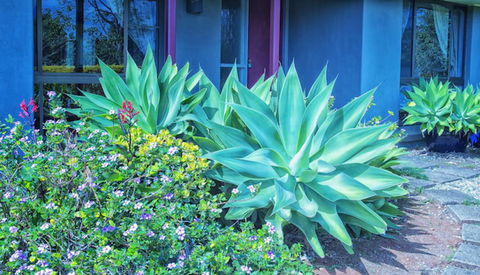 Possum Creek Lodge - Accommodation VIC 2