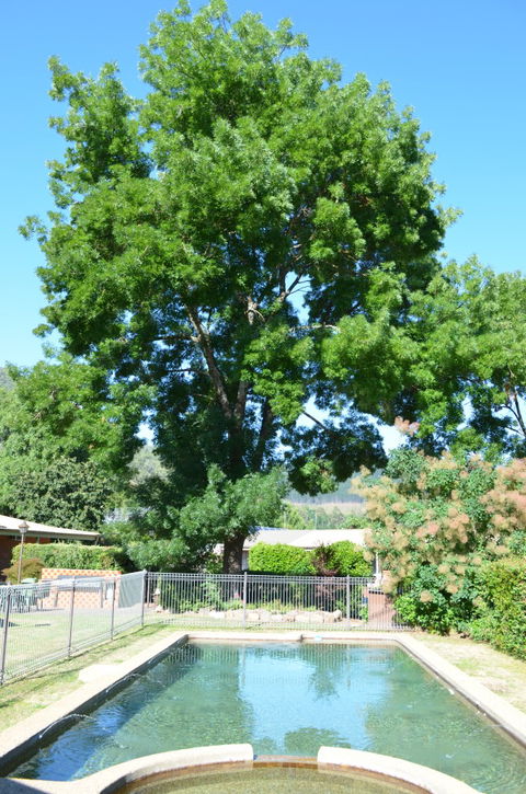 Bright Colonial Inn Motel - Accommodation VIC 4