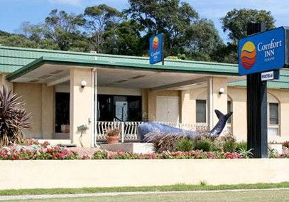 Comfort Inn Albany - Accommodation VIC 0