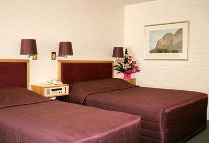 Comfort Inn Albany - Accommodation VIC 4
