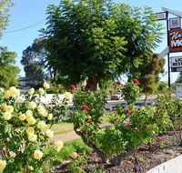 Narrogin Motel - Accommodation VIC
