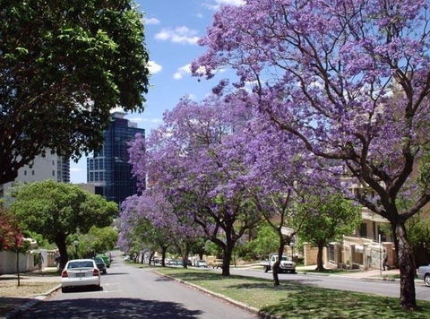 Mountway Holiday Apartments - Accommodation VIC 3