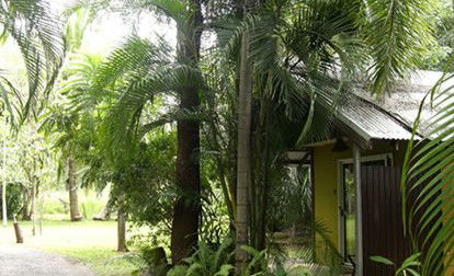 Rum Jungle Bungalows - Accommodation VIC 3