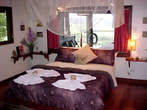 Daintree Cloud 9 - Accommodation VIC 0