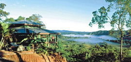 Daintree Cloud 9 - Accommodation VIC 1