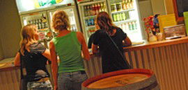 Toddy's Backpackers Resort - Accommodation VIC 3