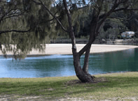 Ocean View Apartments - Accommodation VIC 3