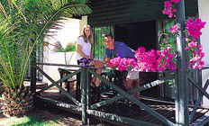 Desert Palms Resort - Accommodation VIC 3