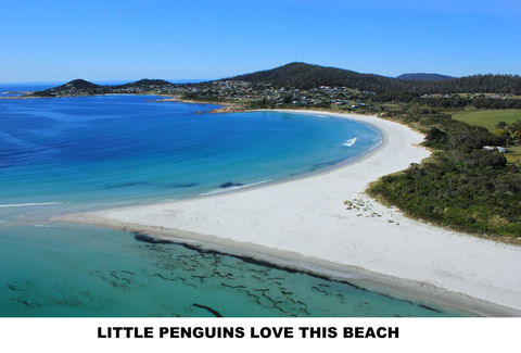 Diamond Island Resort - Accommodation VIC 5