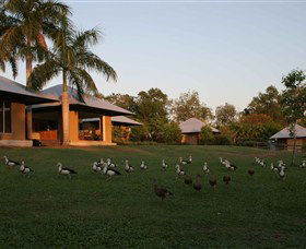 Feathers Sanctuary - Accommodation VIC 0