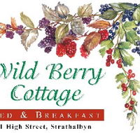 Wild Berry Cottage - Accommodation VIC
