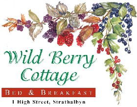 Wild Berry Cottage - Accommodation VIC 0