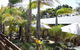Oxley Farm - thumb 1