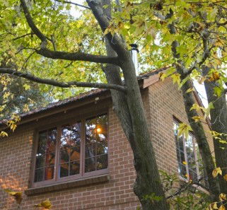 Crafers Cottages - Cherrytree Cottage - Accommodation VIC 4