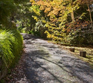 Crafers Cottages - Cherrytree Cottage - Accommodation VIC 5
